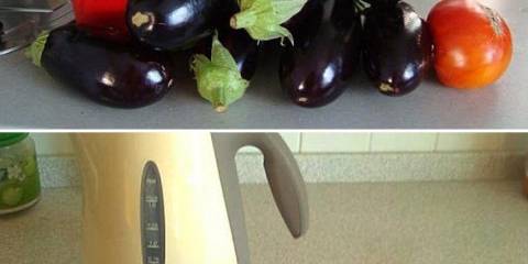 Pěstujeme modré - jak získat dobrou úrodu za jakýchkoli podmínek